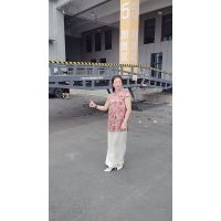 移动式液压登车桥